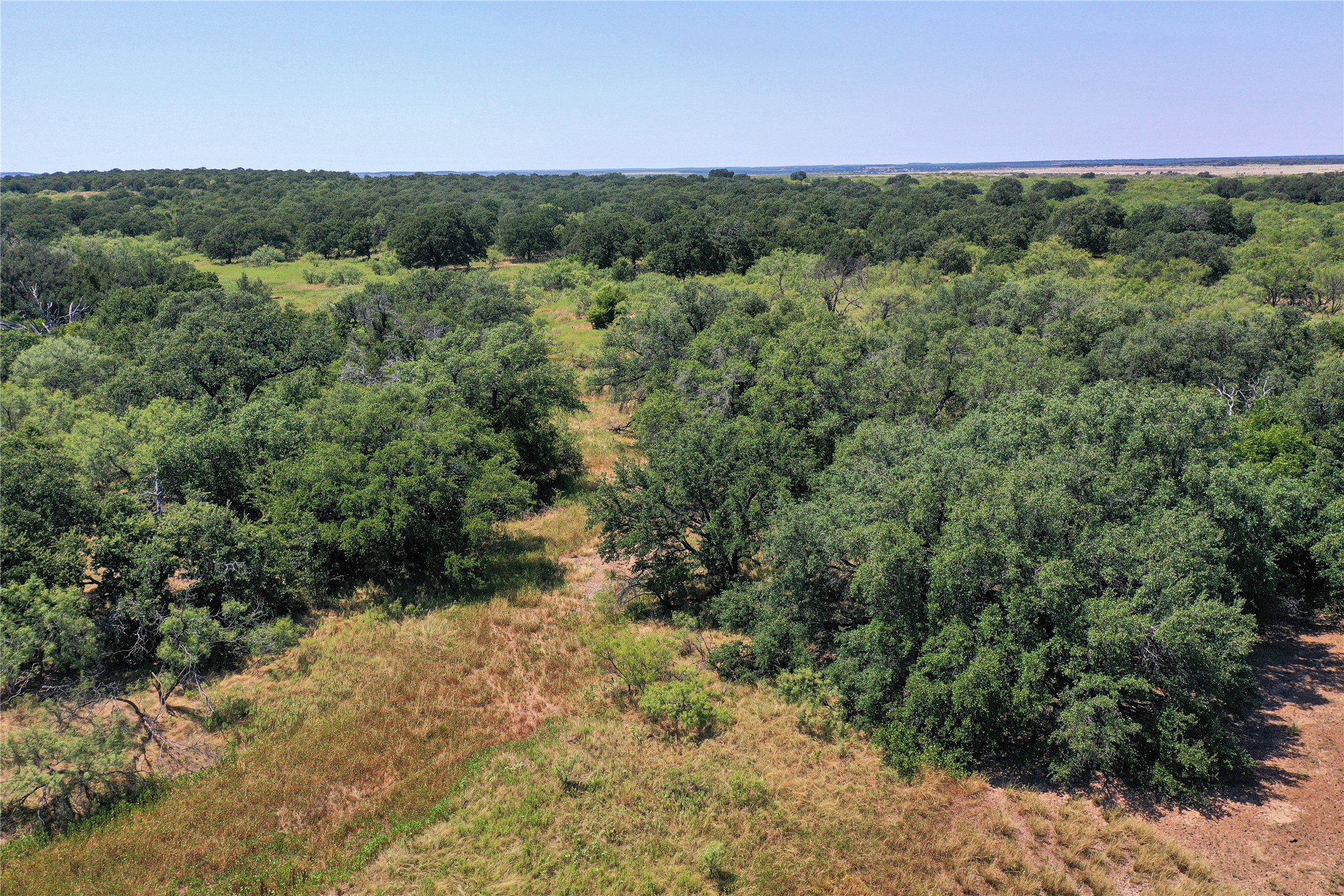 131.7 Acres Roney Road Jacksboro TX 76458
