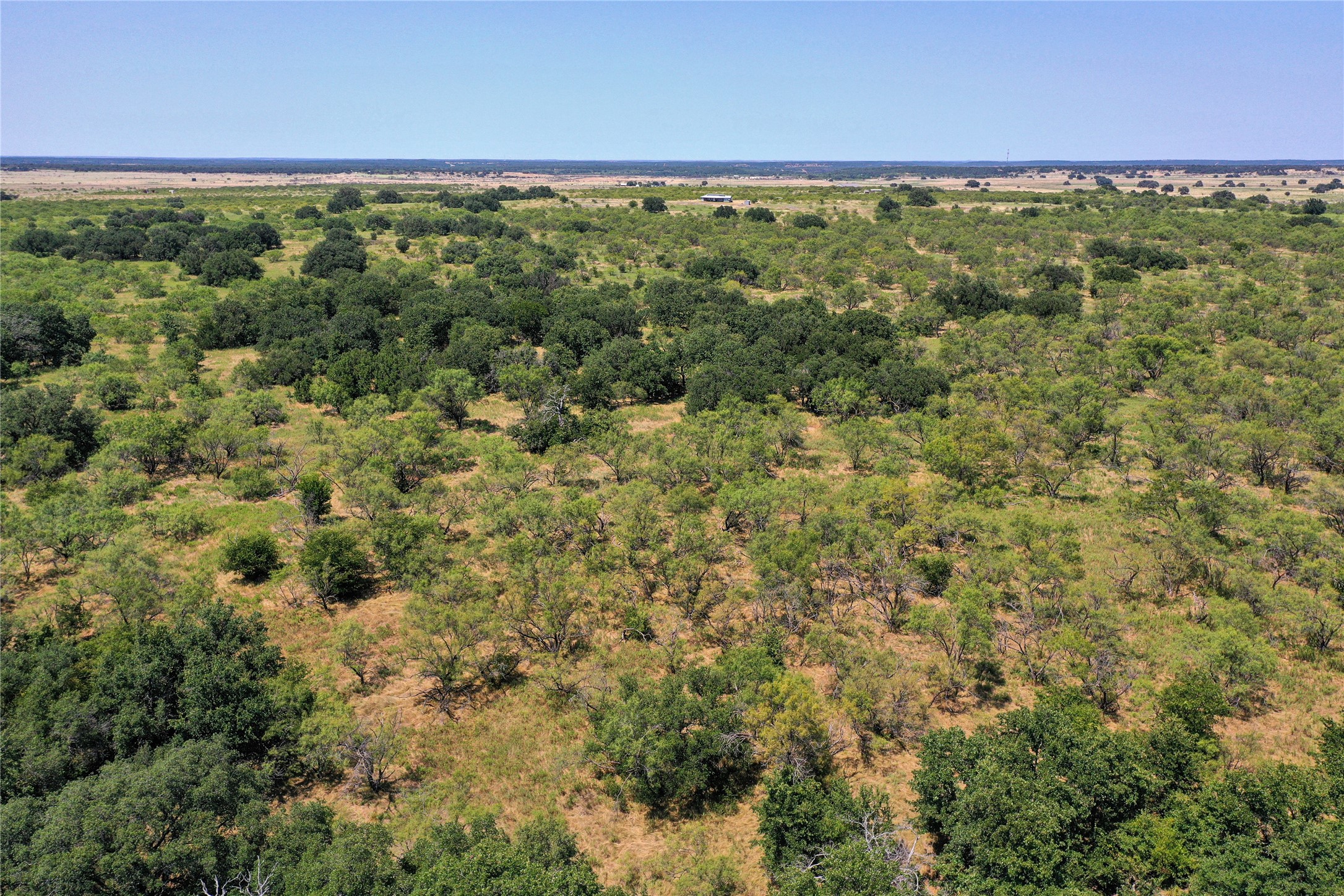 131.7 Acres Roney Road Jacksboro TX 76458