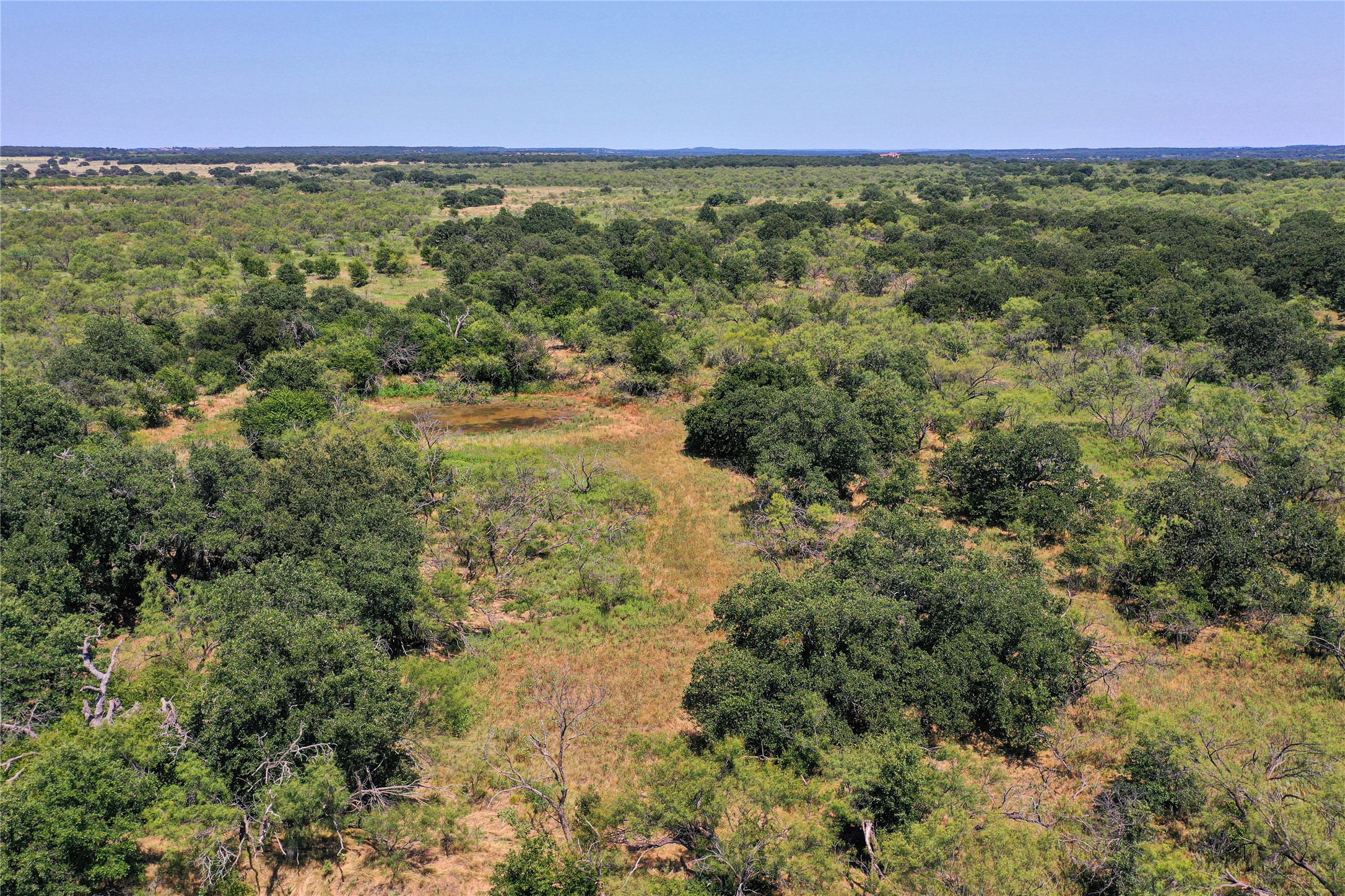 131.7 Acres Roney Road Jacksboro TX 76458
