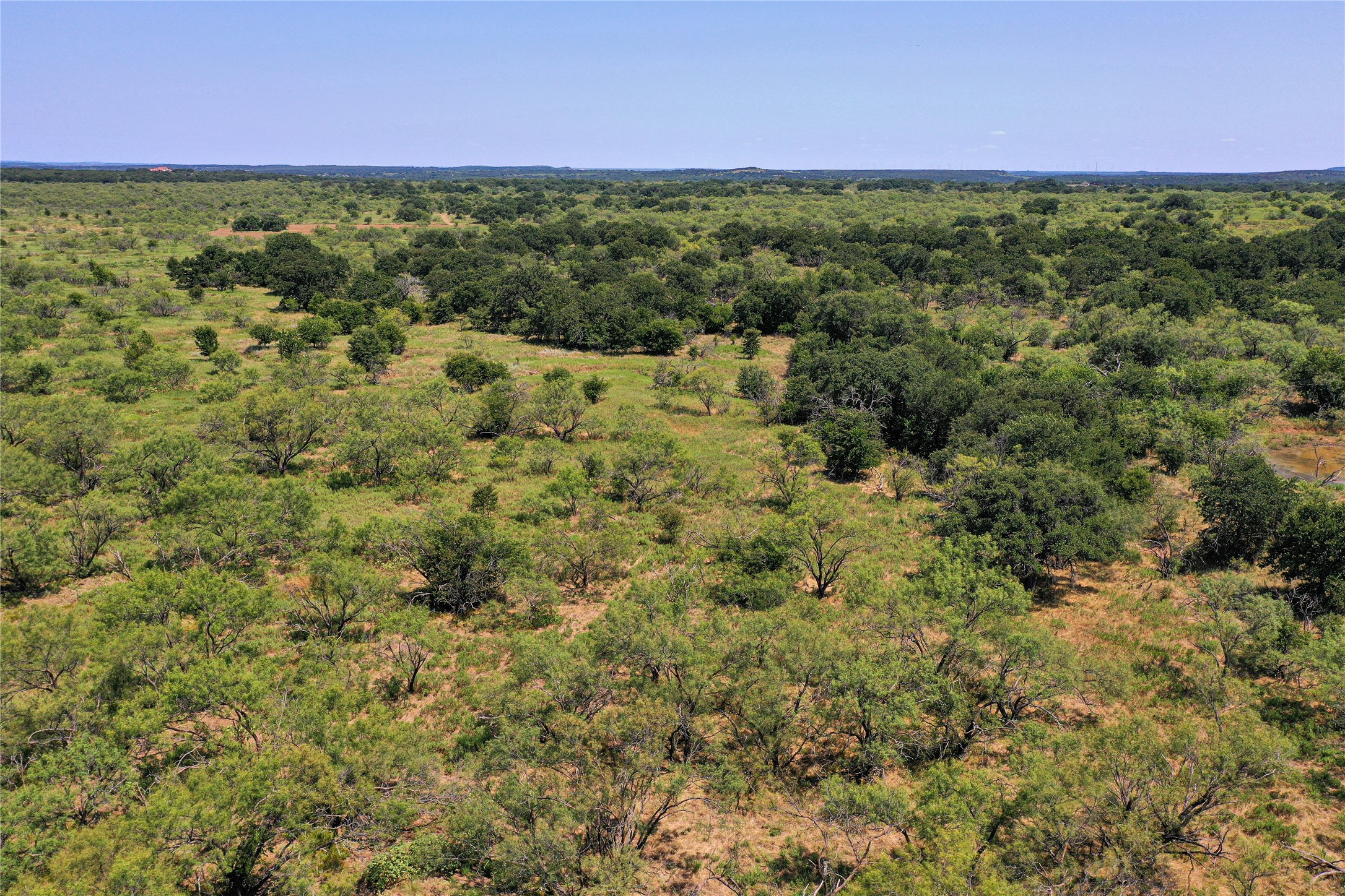 131.7 Acres Roney Road Jacksboro TX 76458
