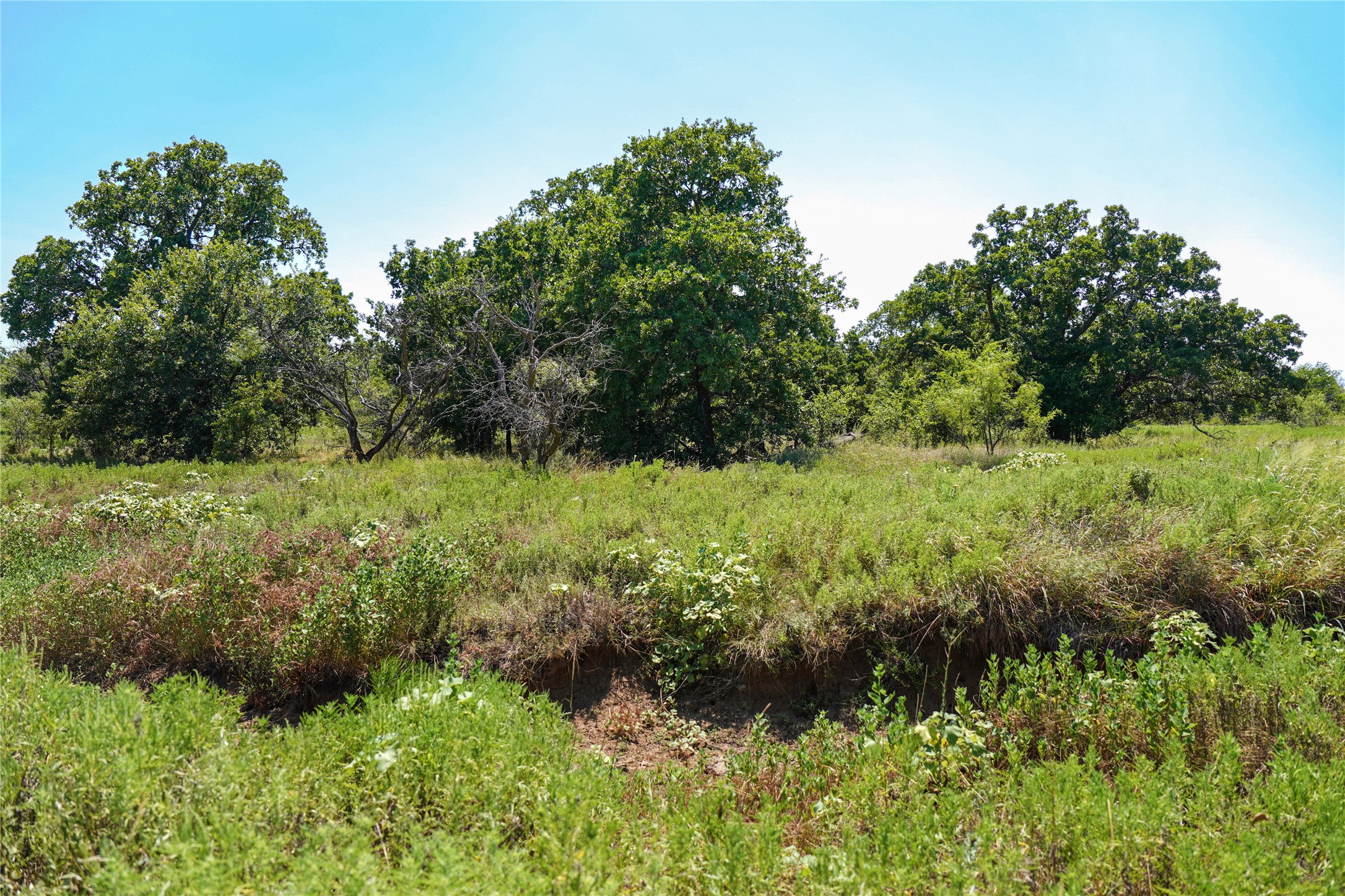 131.7 Acres Roney Road Jacksboro TX 76458