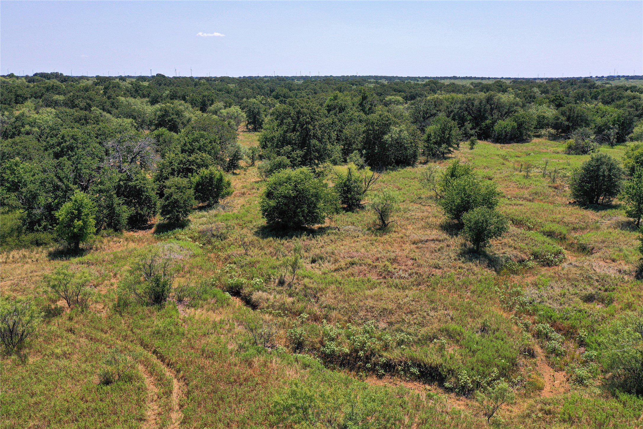 131.7 Acres Roney Road Jacksboro TX 76458