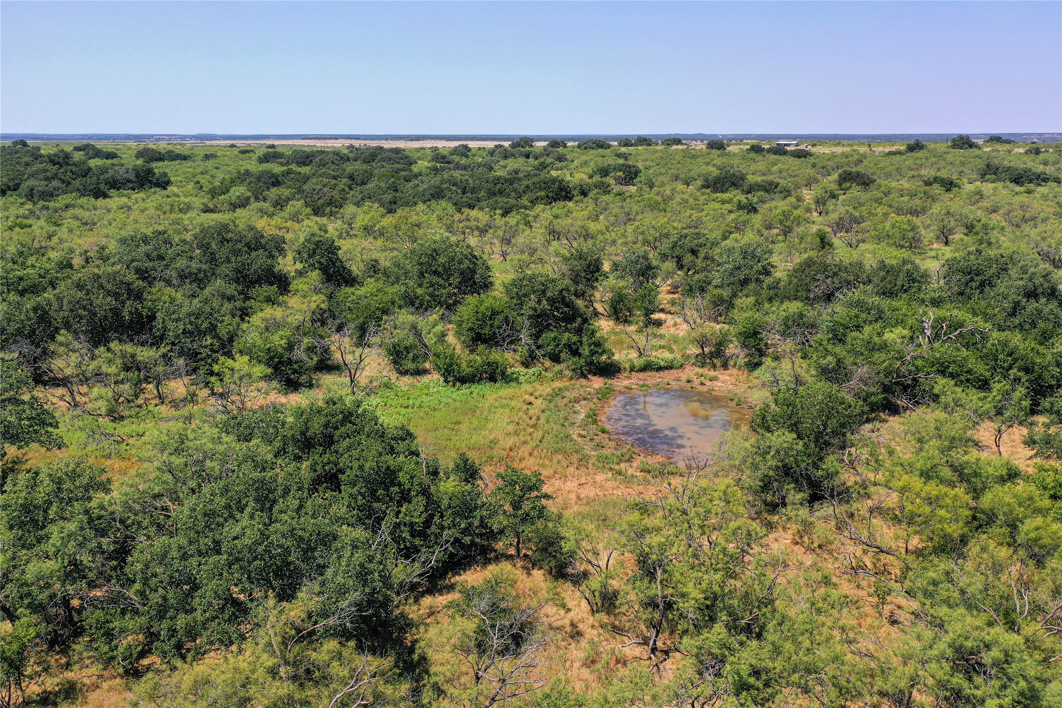 131.7 Acres Roney Road Jacksboro TX 76458