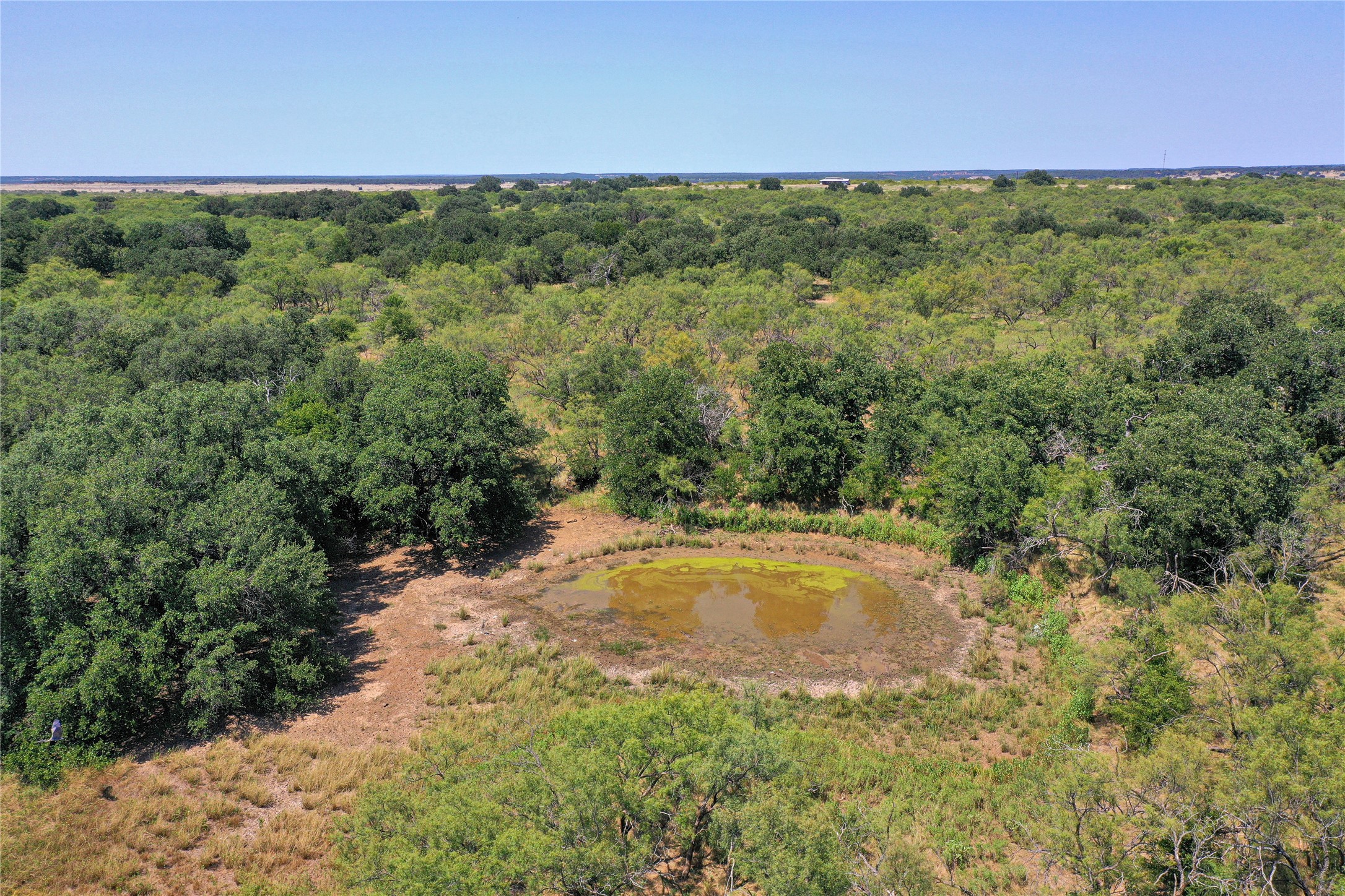 131.7 Acres Roney Road Jacksboro TX 76458