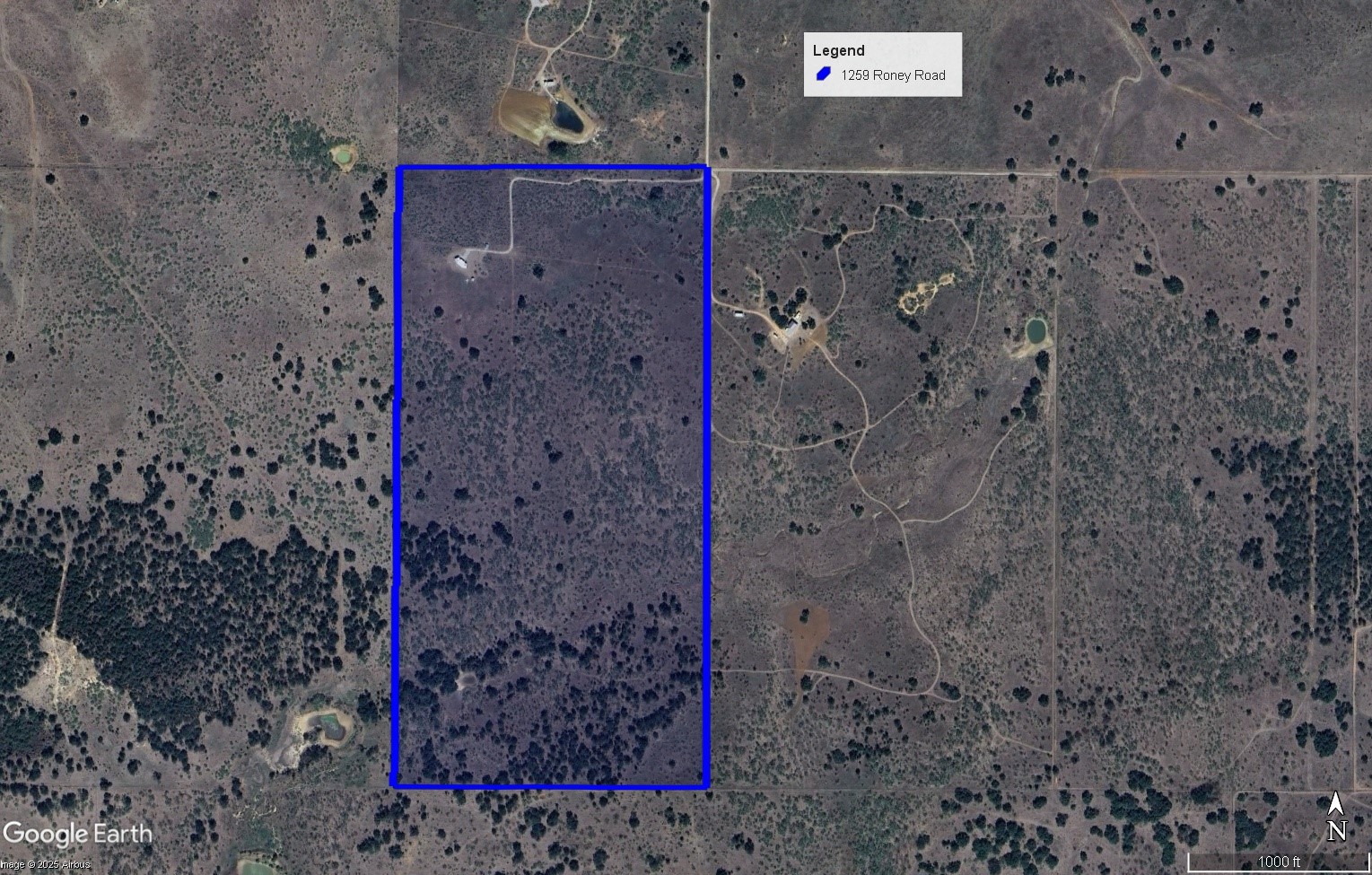 131.7 Acres Roney Road Jacksboro TX 76458