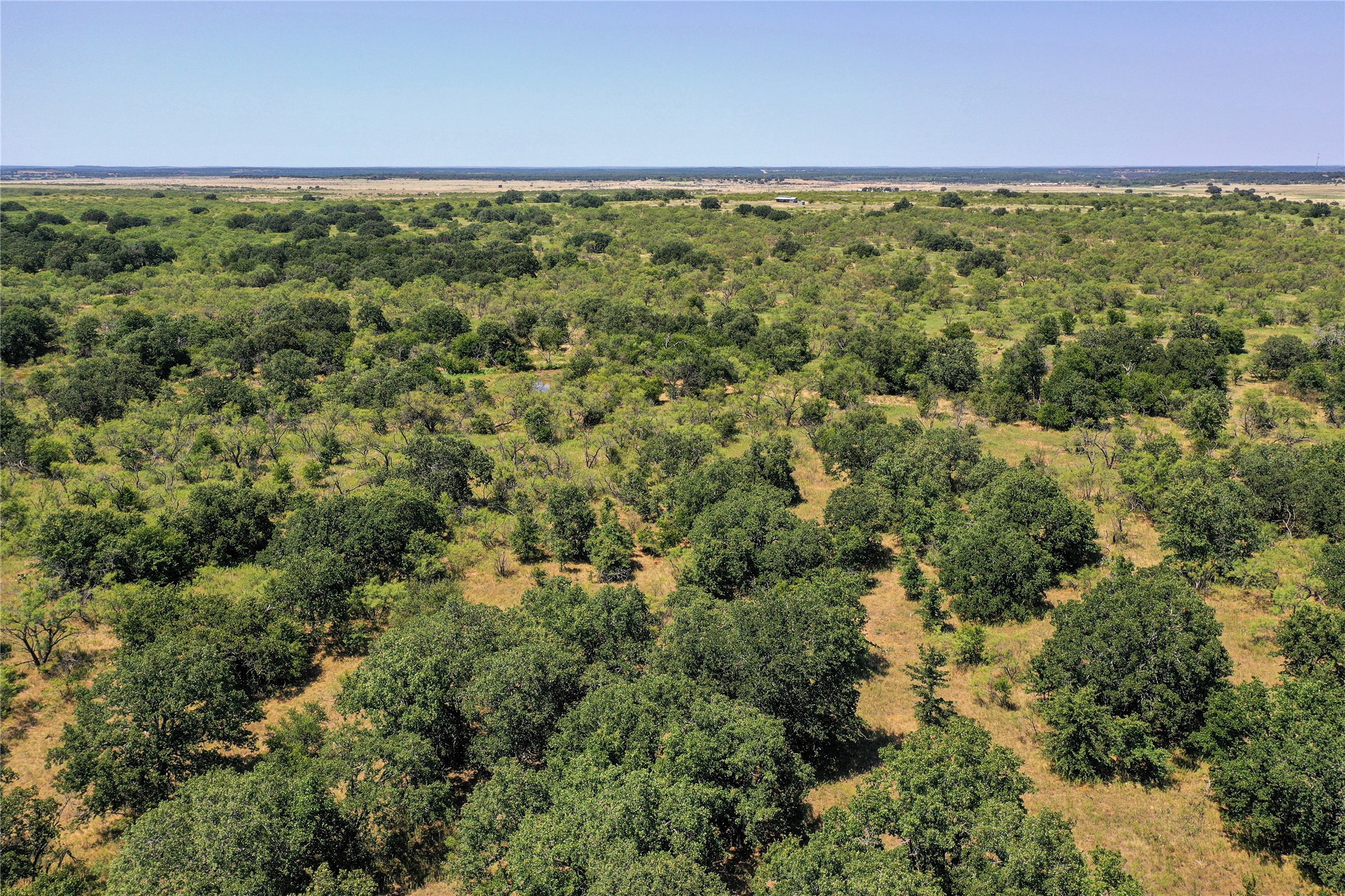 131.7 Acres Roney Road Jacksboro TX 76458