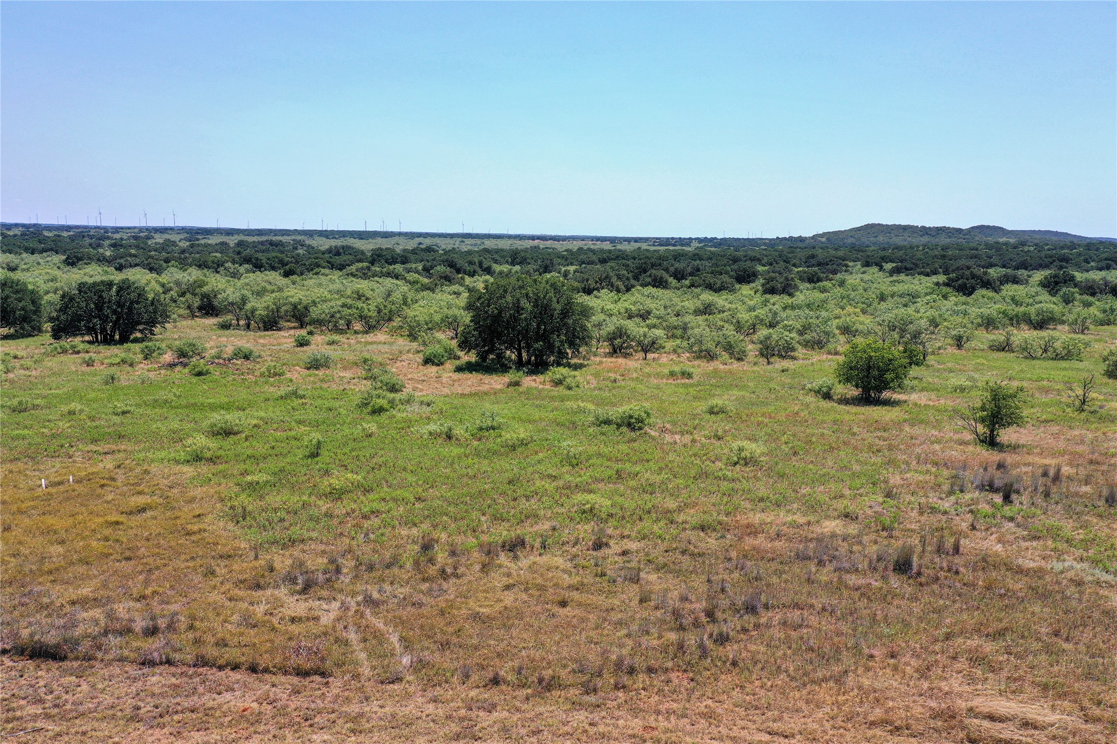 131.7 Acres Roney Road Jacksboro TX 76458
