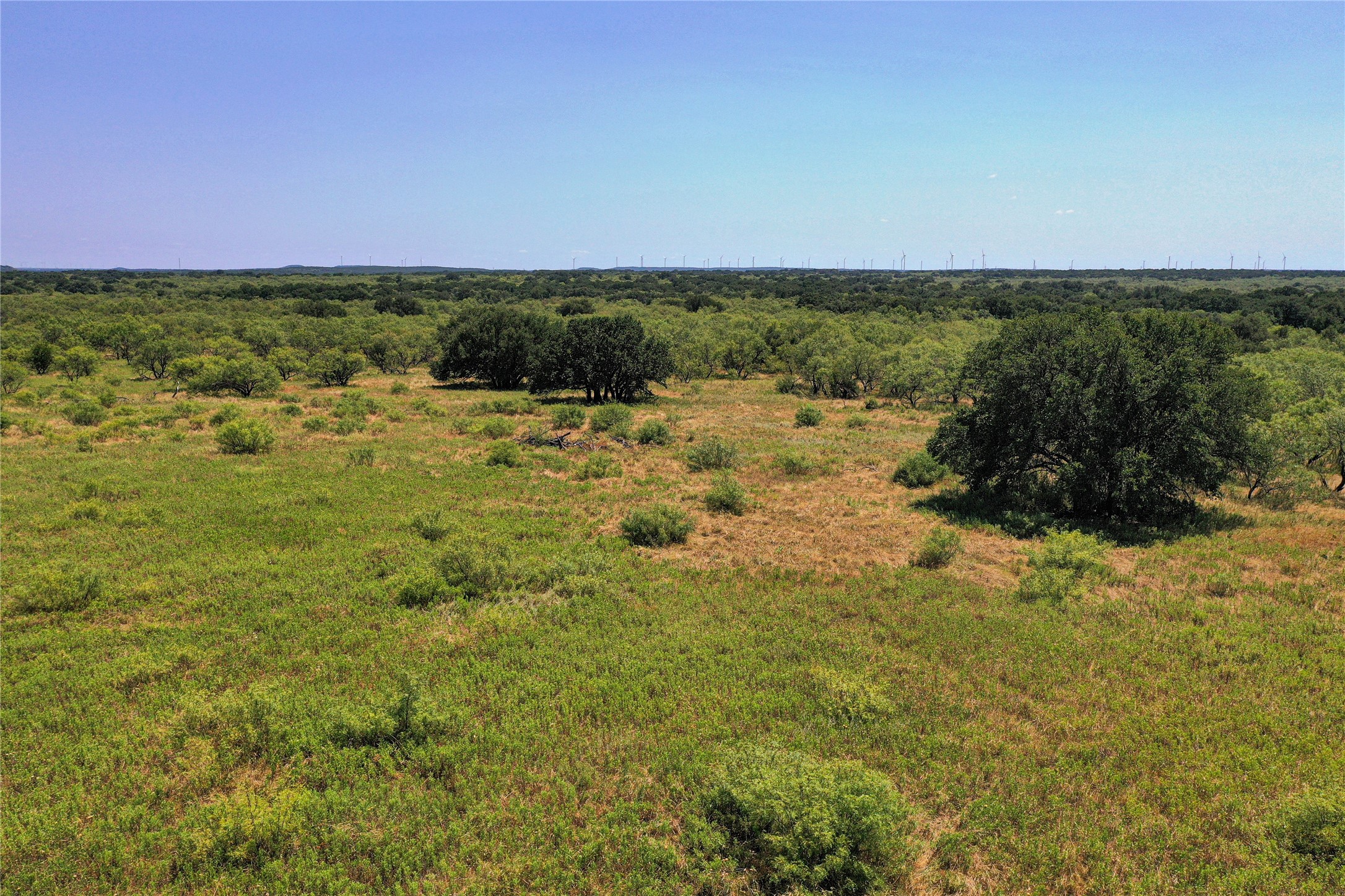 131.7 Acres Roney Road Jacksboro TX 76458