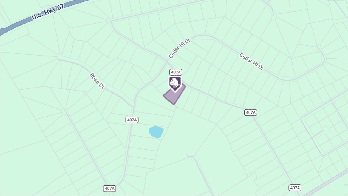 1081 County Road 407a Nemo TX 76070