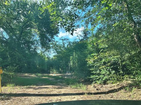 Lot 53 Harris Sulphur Springs TX 75482