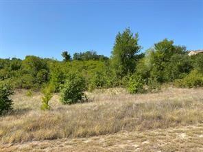Lot 168 Canyon Wren N Graford TX 76449