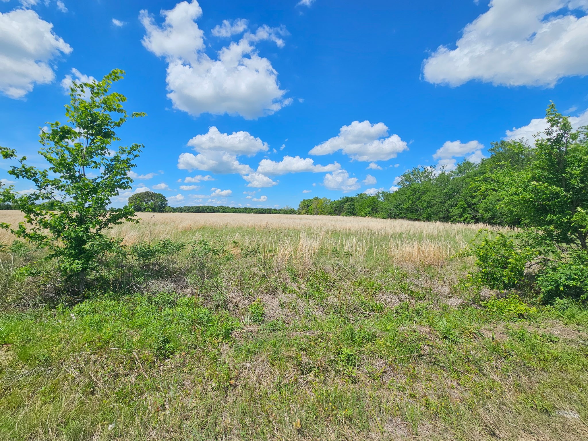 Lot 1 Cr 3609 Edgewood TX 75117