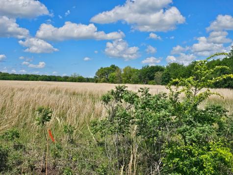 Lot 1 Cr 3609 Edgewood TX 75117