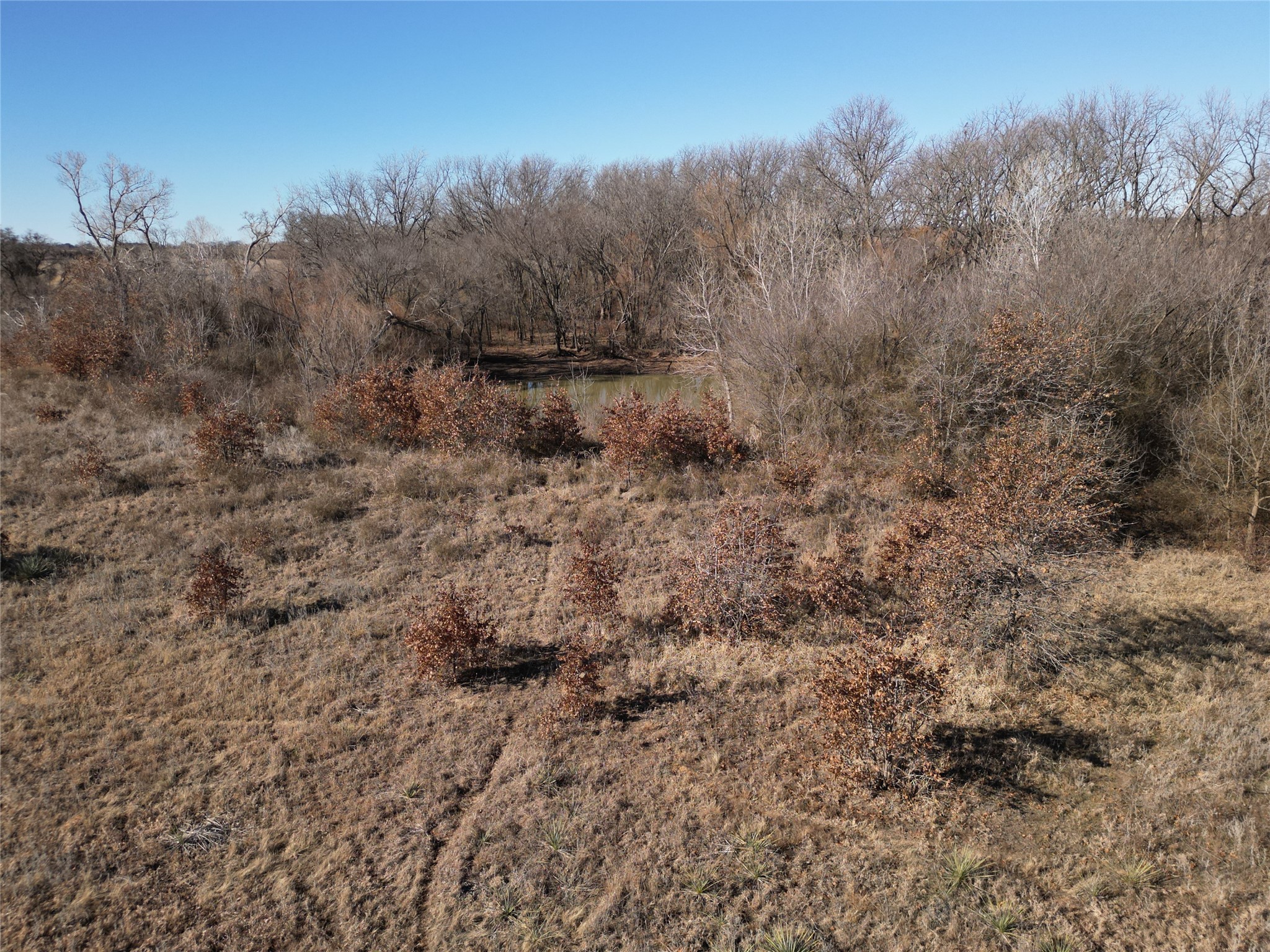 1235 County Road 226 Rising Star TX 76471