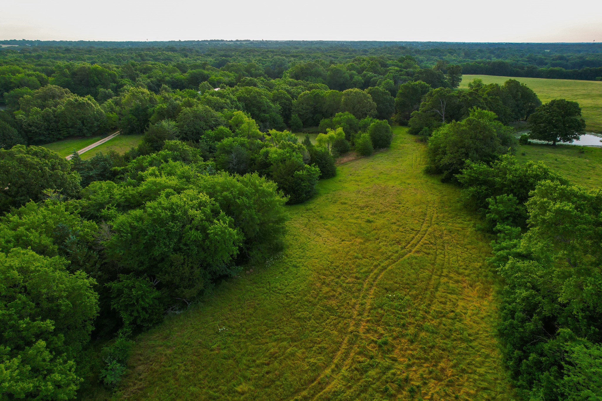 943 County Road 2439 Sulphur Springs TX 75482