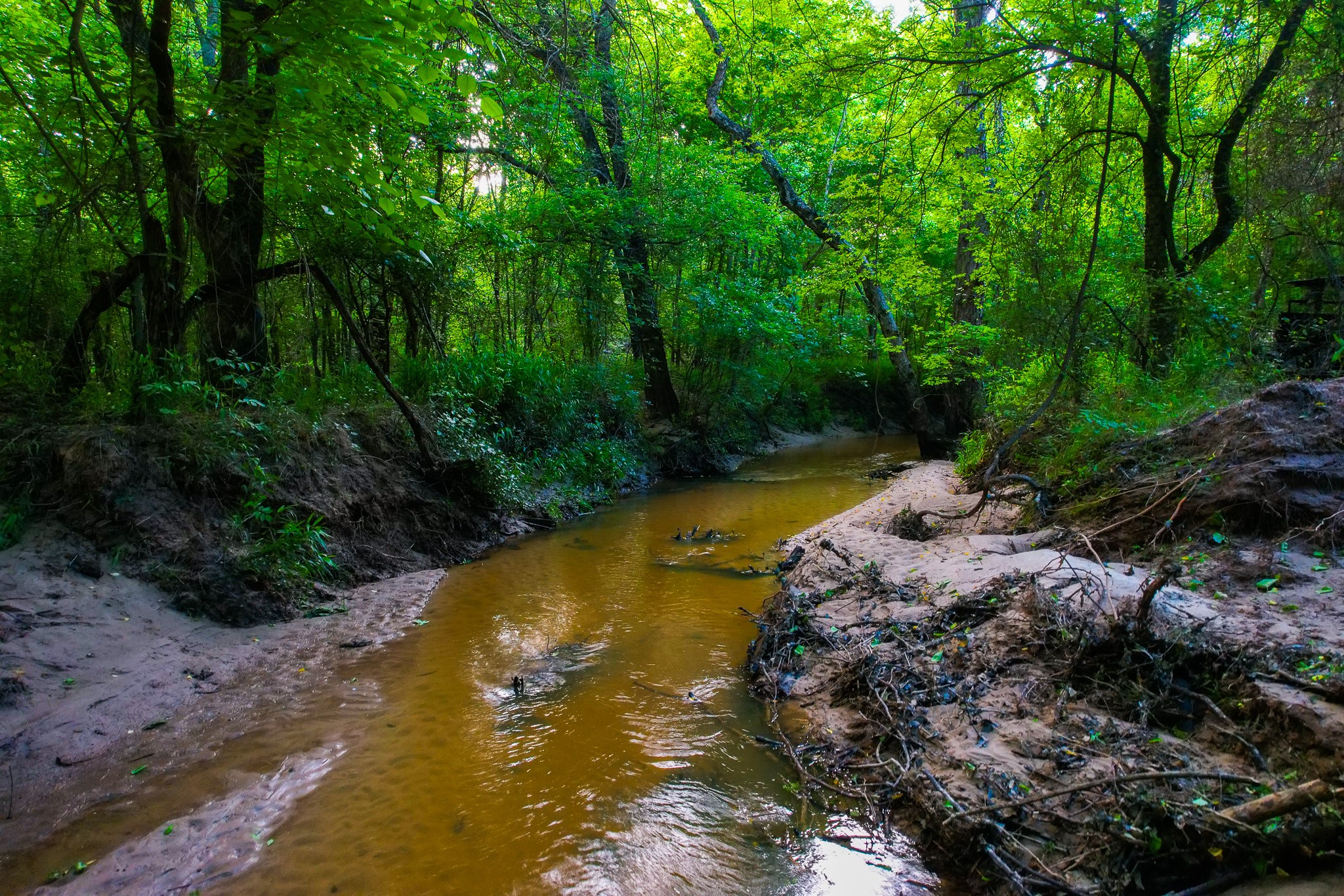 943 County Road 2439 Sulphur Springs TX 75482