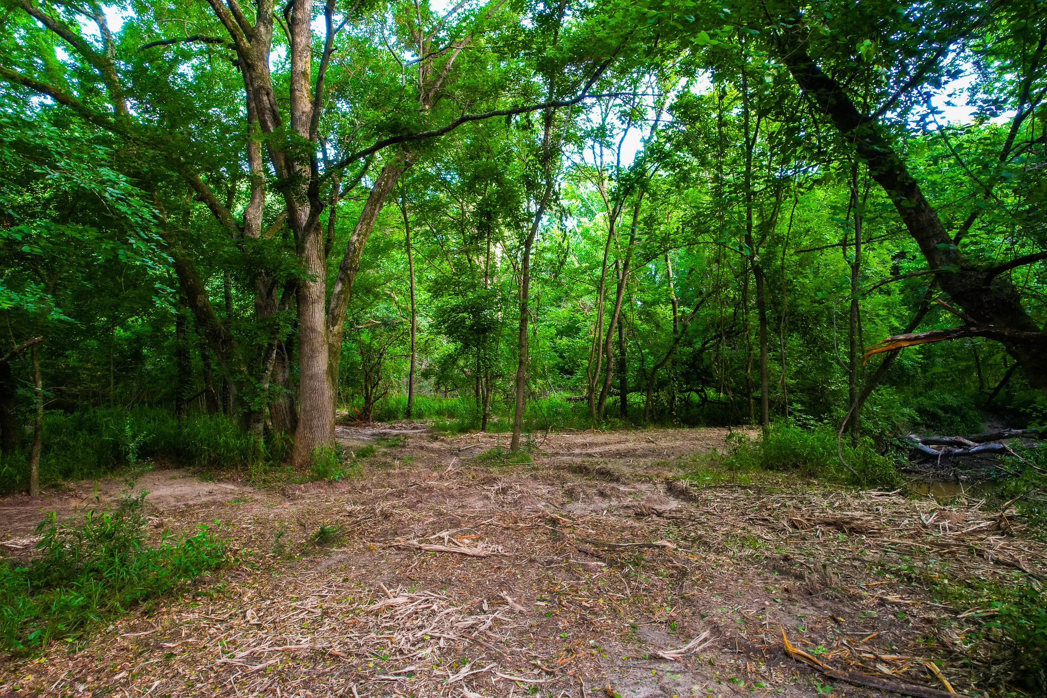 943 County Road 2439 Sulphur Springs TX 75482