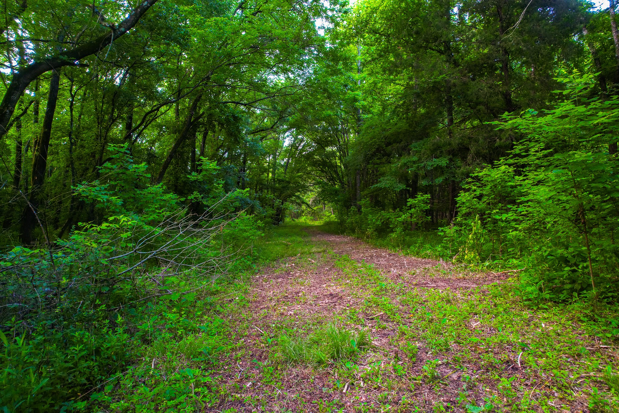943 County Road 2439 Sulphur Springs TX 75482