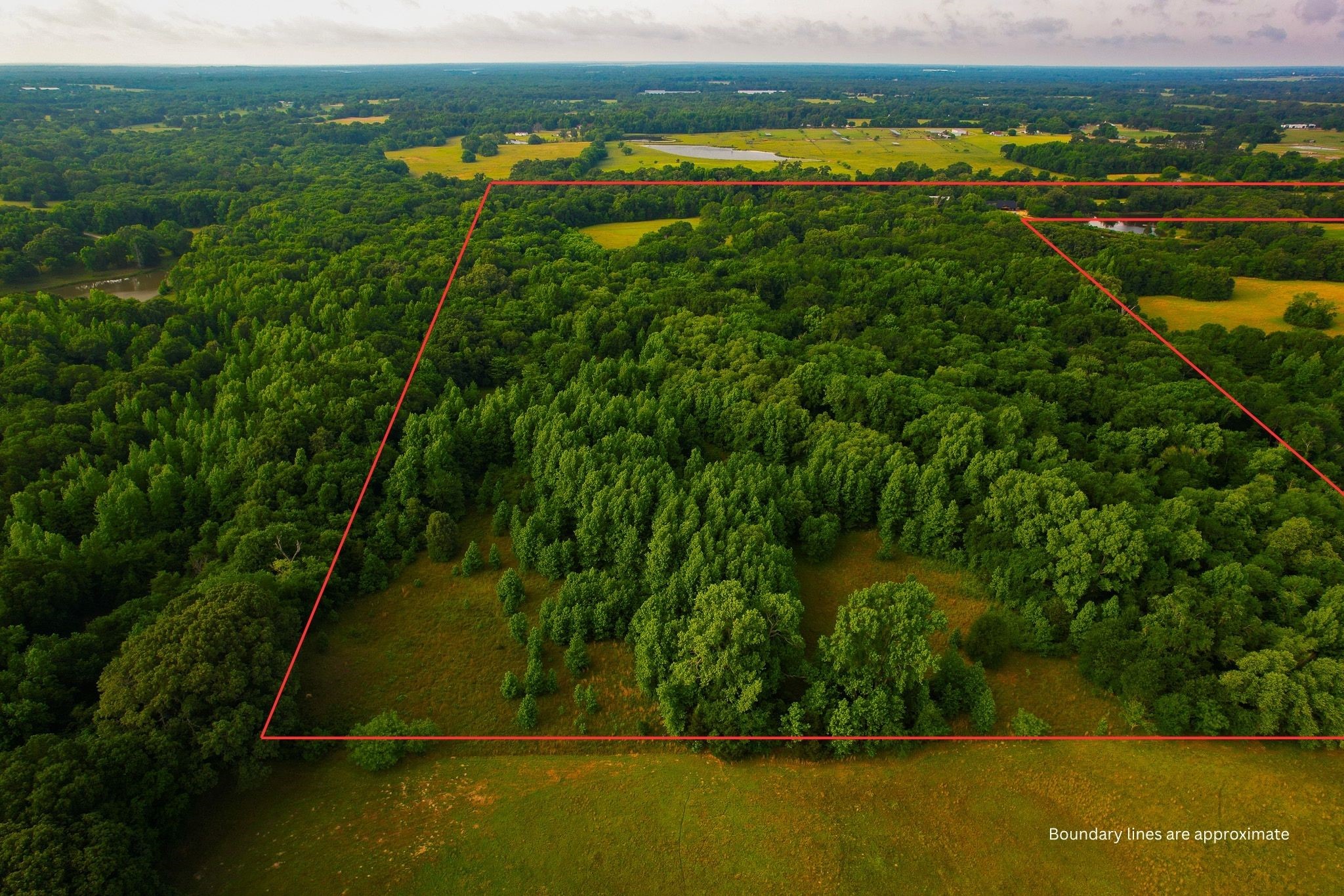 943 County Road 2439 Sulphur Springs TX 75482