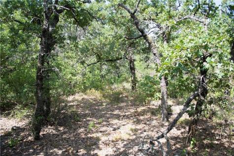 E48 Arts Way Gordon TX 76453