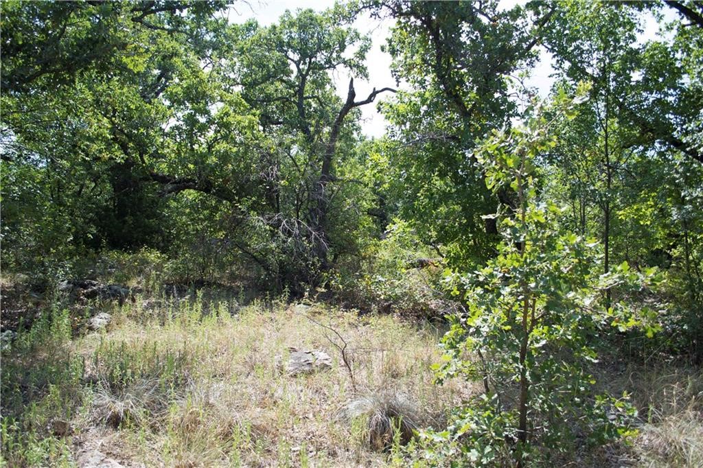 E48 Arts Way Gordon TX 76453