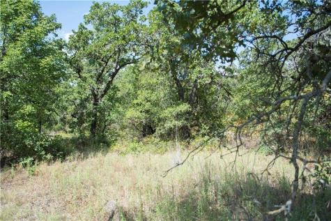 E48 Arts Way Gordon TX 76453