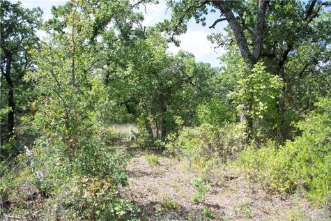 E48 Arts Way Gordon TX 76453