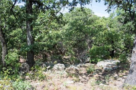 E48 Arts Way Gordon TX 76453
