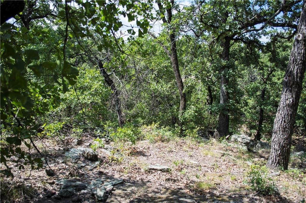 E48 Arts Way Gordon TX 76453