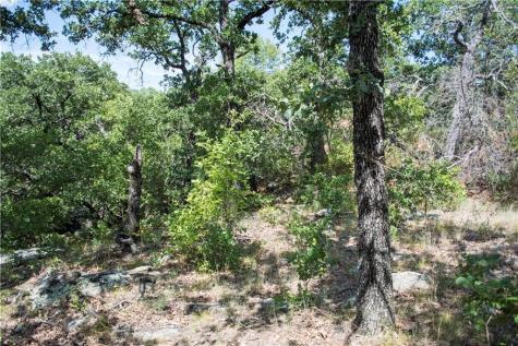 E48 Arts Way Gordon TX 76453
