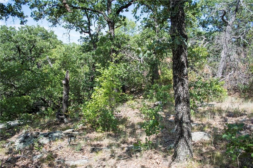 E48 Arts Way Gordon TX 76453