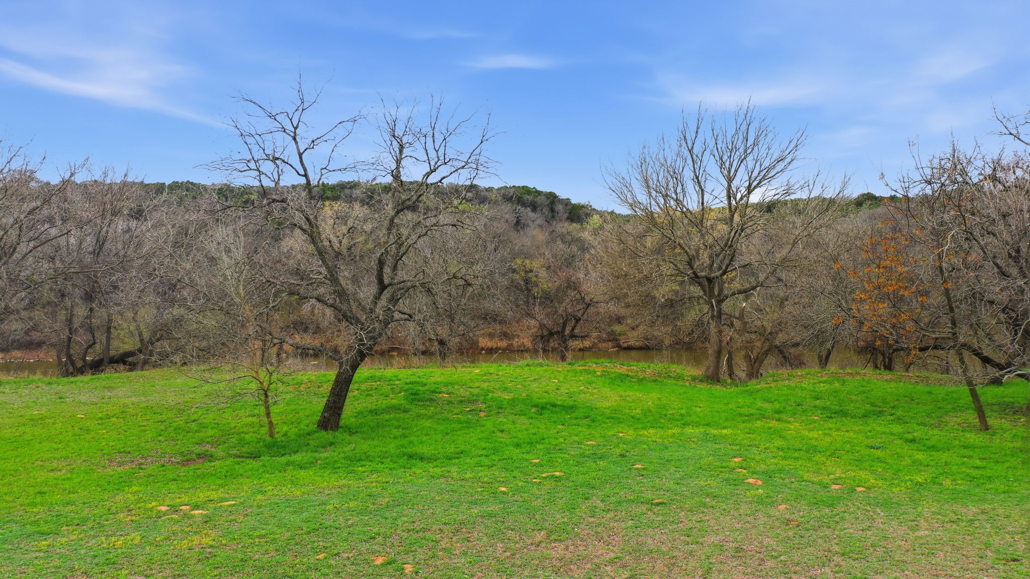 15001 Mitchell Bend Court Granbury TX 76048