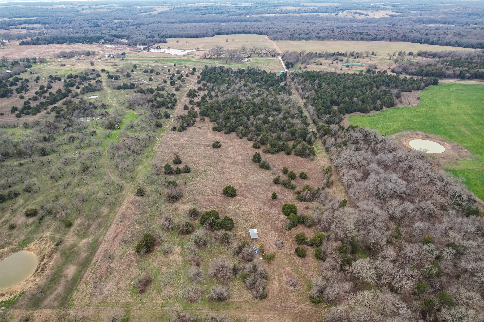 1846 Fm 55 Road Barry TX 75102