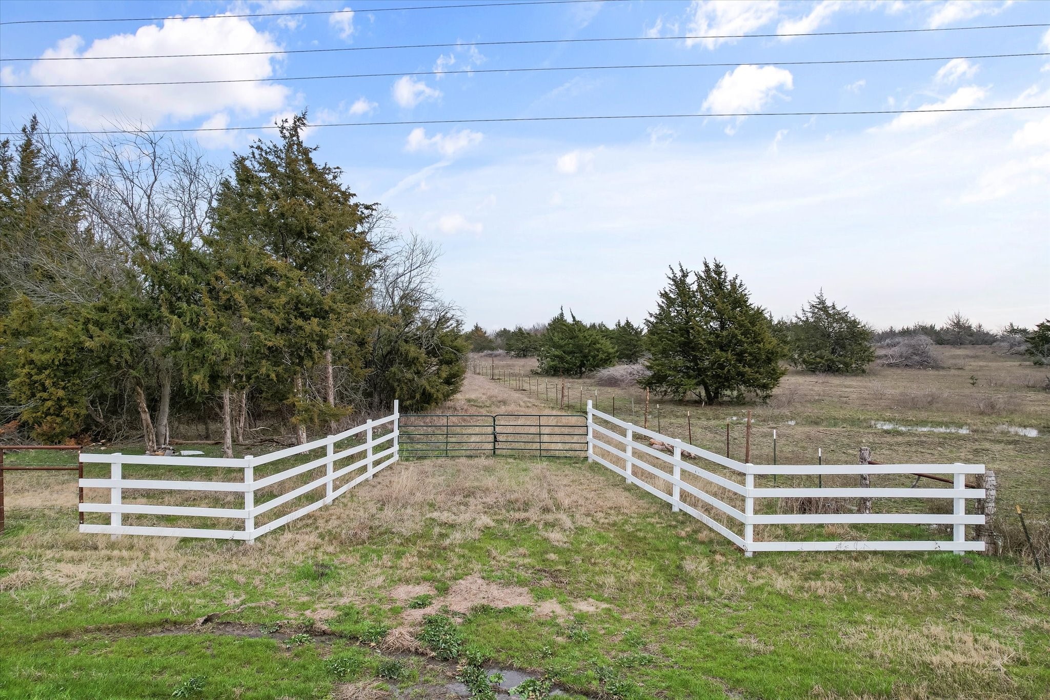1846 Fm 55 Road Barry TX 75102