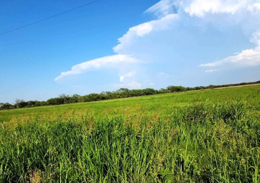 Tbd Fm Road 57 Road Sylvester TX 79560