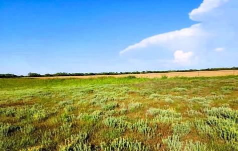 Tbd Fm Road 57 Road Sylvester TX 79560