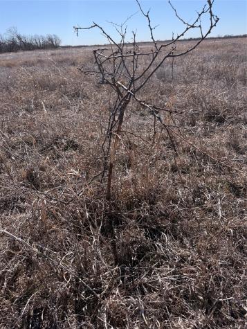 Tbd Fm Road 57 Road Sylvester TX 79560