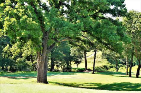 847 Eagle Oaks Drive Gordonville TX 76245