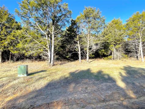 847 Eagle Oaks Drive Gordonville TX 76245