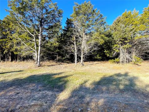 847 Eagle Oaks Drive Gordonville TX 76245