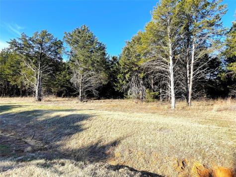 847 Eagle Oaks Drive Gordonville TX 76245