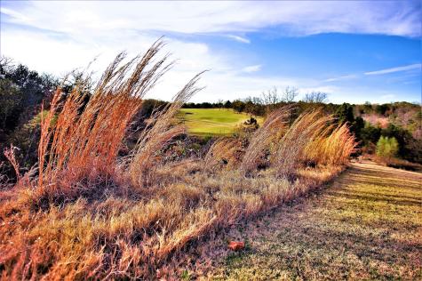 847 Eagle Oaks Drive Gordonville TX 76245