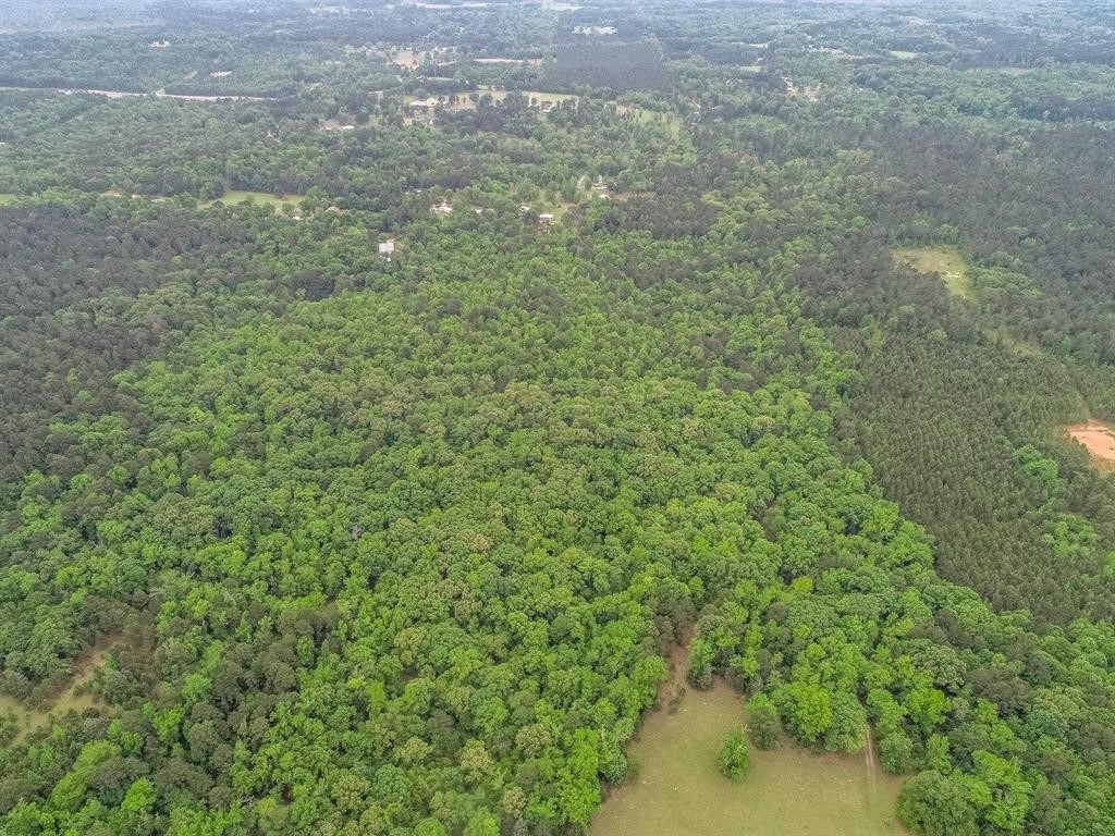2885 Firetower Road Hallsville TX 75650