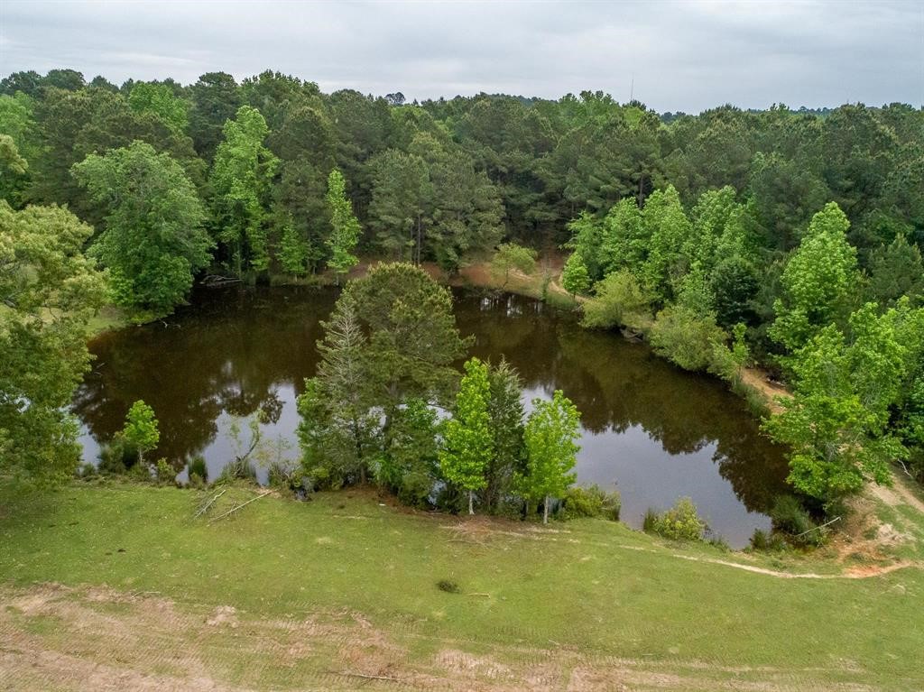 2885 Firetower Road Hallsville TX 75650