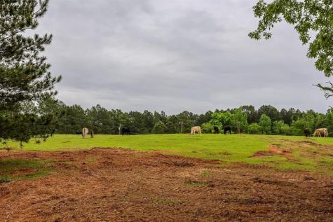 2885 Firetower Road Hallsville TX 75650