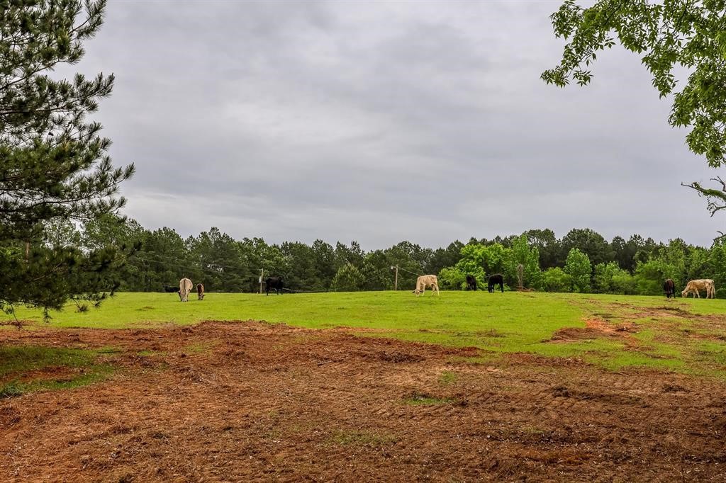 2885 Firetower Road Hallsville TX 75650