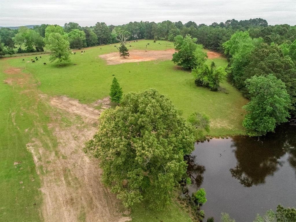 2885 Firetower Road Hallsville TX 75650