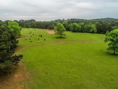 2885 Firetower Road Hallsville TX 75650