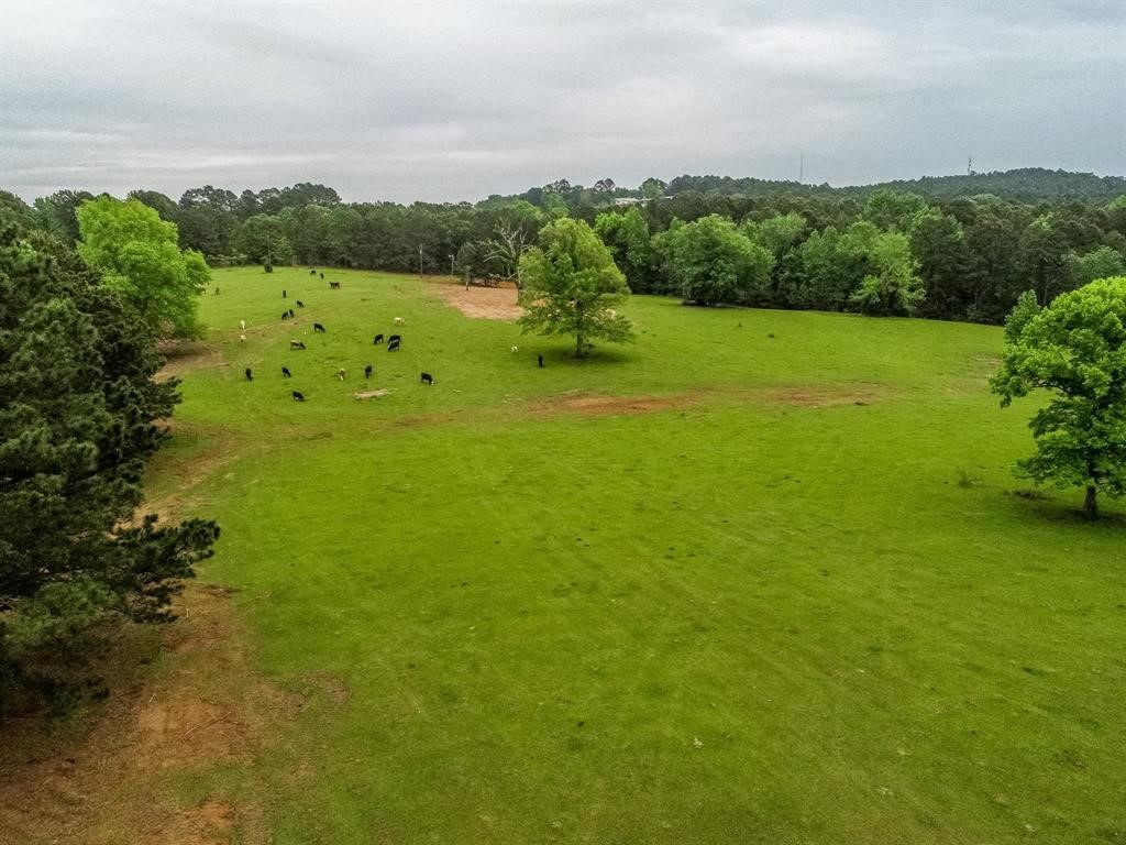 2885 Firetower Road Hallsville TX 75650
