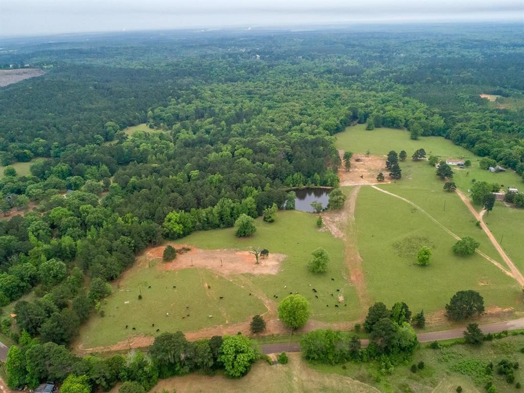 2885 Firetower Road Hallsville TX 75650